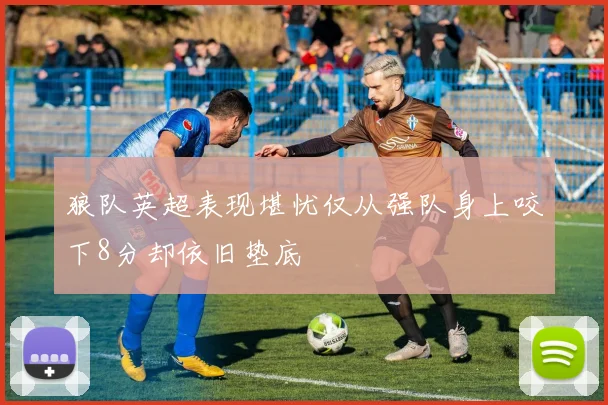 狼队英超表现堪忧仅从强队身上咬下8分却依旧垫底