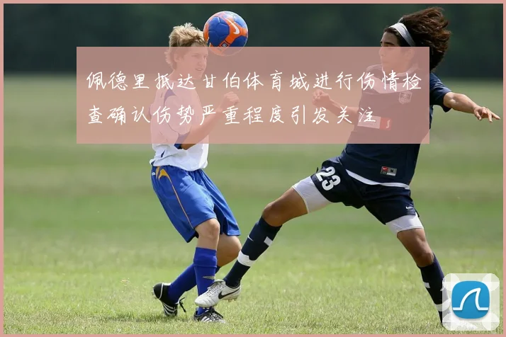 佩德里抵达甘伯体育城进行伤情检查确认伤势严重程度引发关注