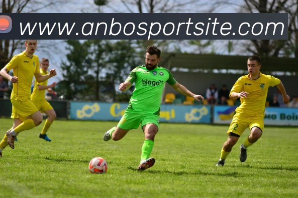 安博体育平台生态图