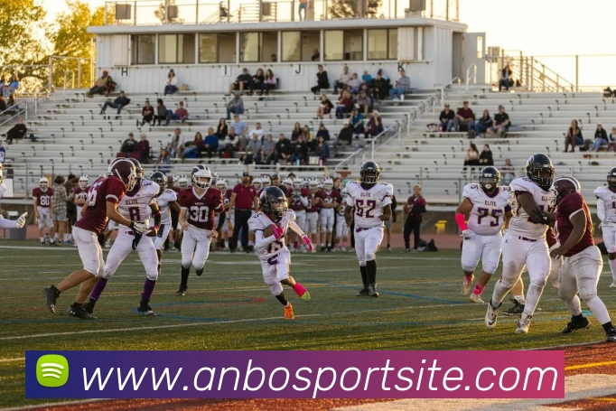 安博体育APP 封面图